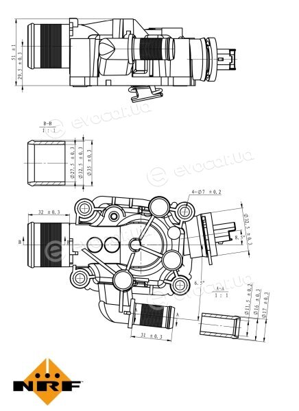 NRF 725081