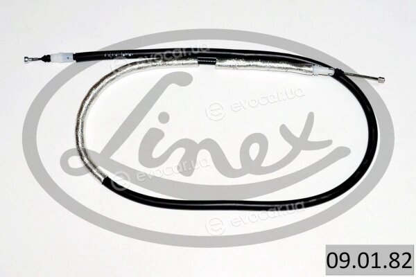 Linex 09.01.82