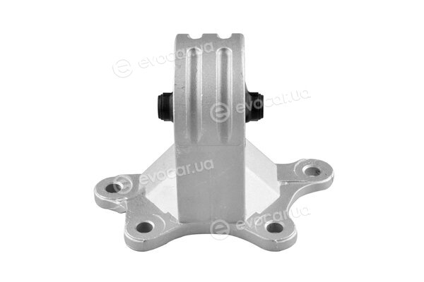 Tedgum TED51169