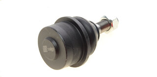 Solgy 203009