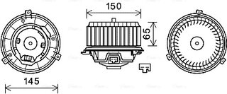 AVA OL8674