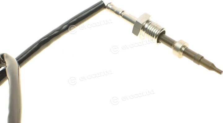 Solgy 115084