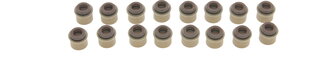 Elring 483.480