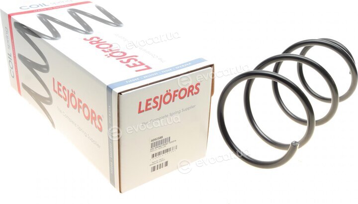 Lesjofors 4092588