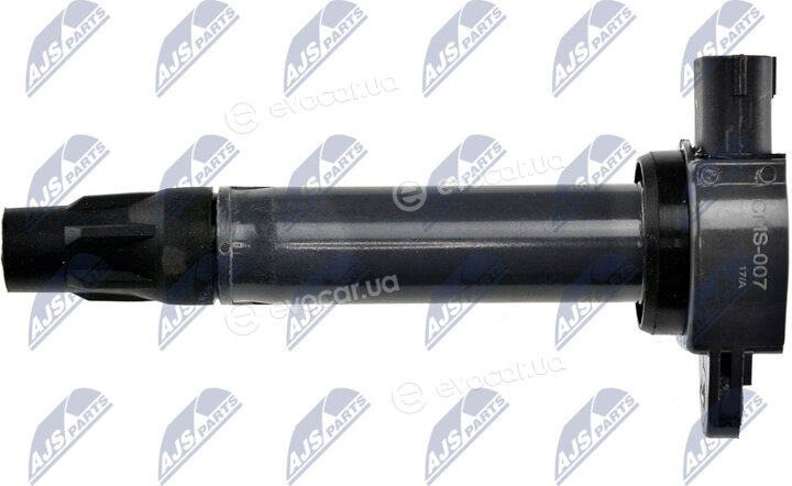 NTY ECZ-MS-007