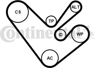 Continental / Contitech 6PK1555K4