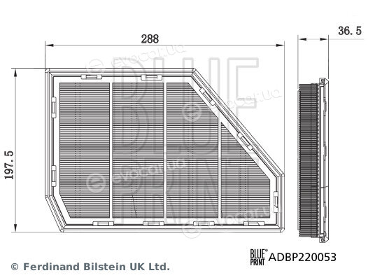 Blue Print ADBP220053