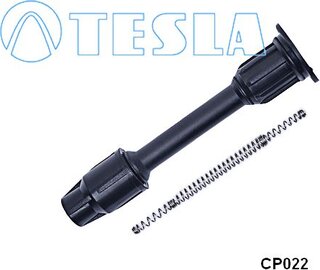 Tesla CP022