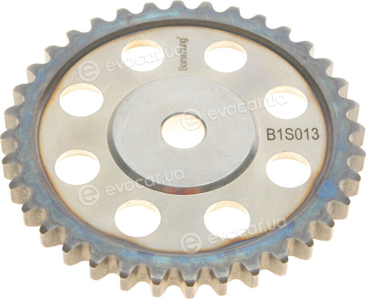 Borsehung B16300