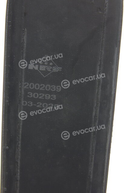NRF 30293