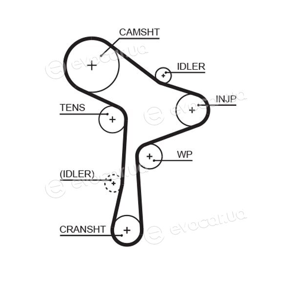 Gates K015678XS