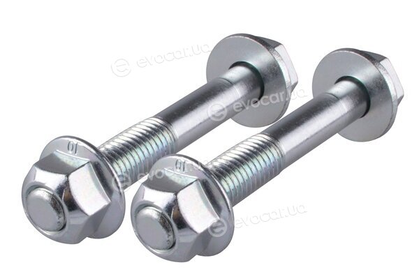 Tedgum 98764