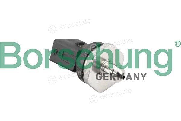 Borsehung B11857