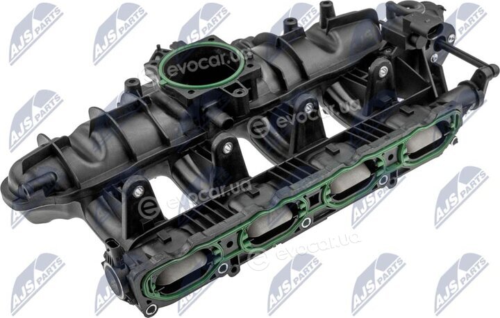 NTY BKS-VW-018