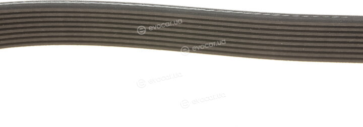 Gates 8PK1635HD