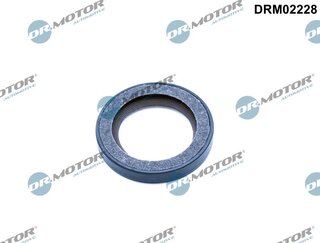 Dr. Motor DRM02228