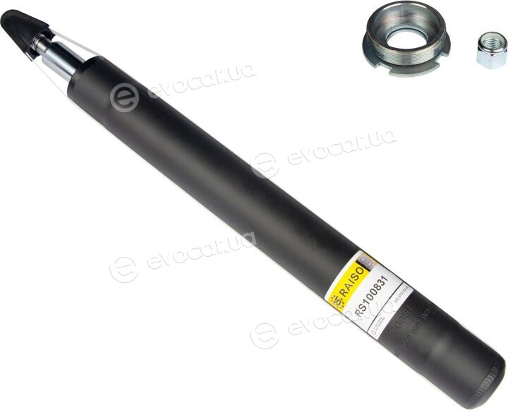 Raiso RS100831