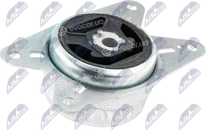 NTY ZPS-PL-075