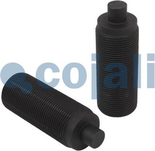 Cojali 6084520