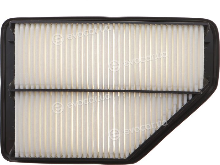 Solgy 103196
