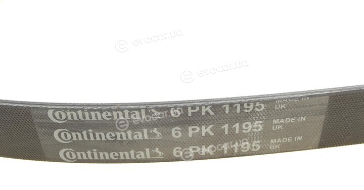 Continental 6PK1195