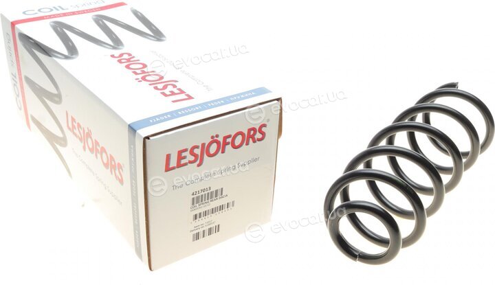 Lesjofors 4217013