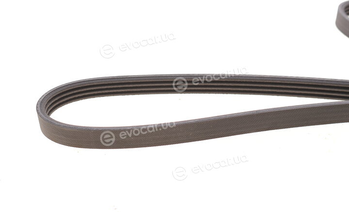 Continental 4PK1538K1