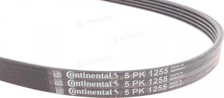 Continental 5PK1255