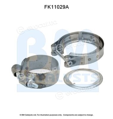 BM Catalysts FK11029