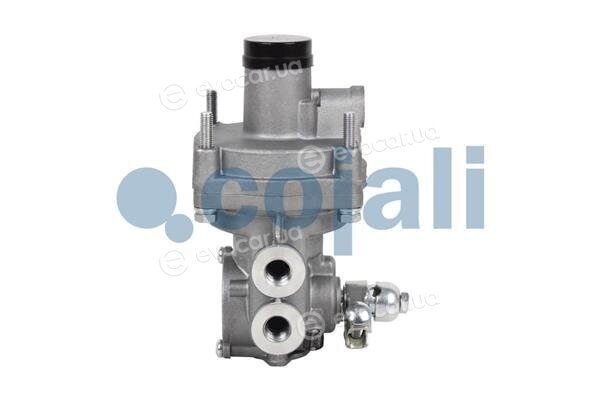 Cojali 2220351