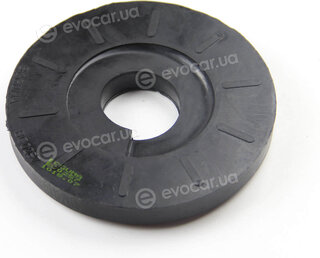 BC Guma 0257