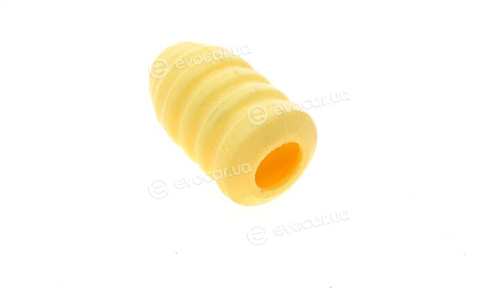 Borsehung B10011