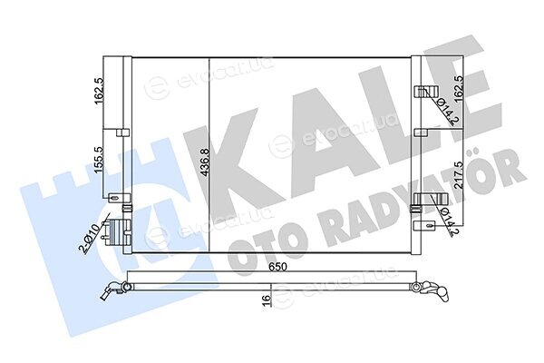 Kale 345380