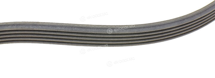 Continental 6PK1059 ELAST T2