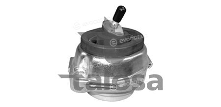 Talosa 61-06639