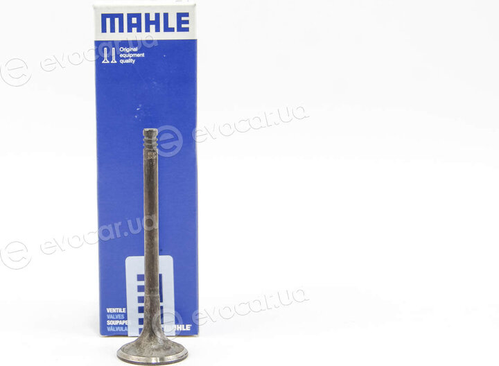 Mahle 011 VA 30458 100