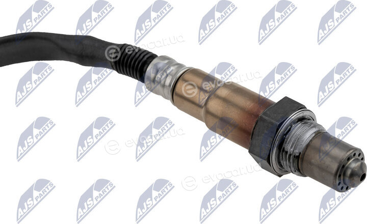 NTY ESL-PL-018