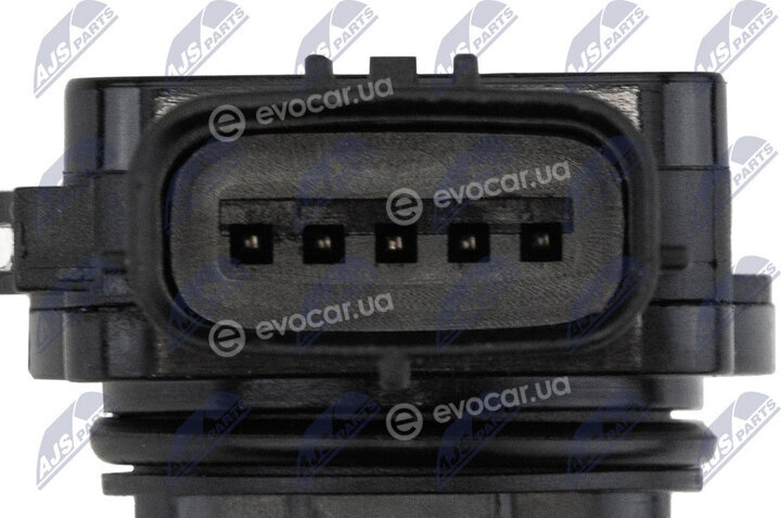 NTY EPP-SB-000