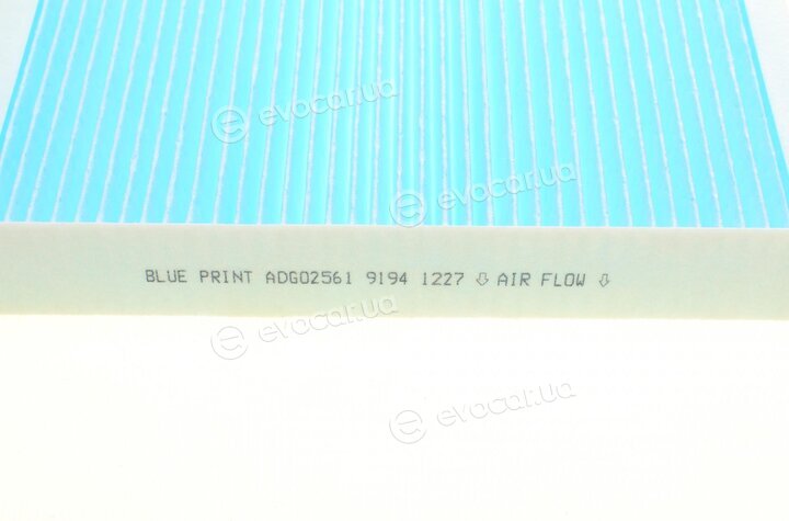 Blue Print ADG02561