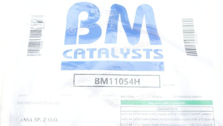 BM Catalysts BM11054H