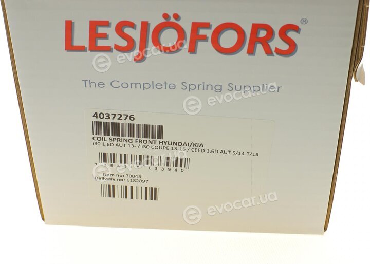 Lesjofors 4037276