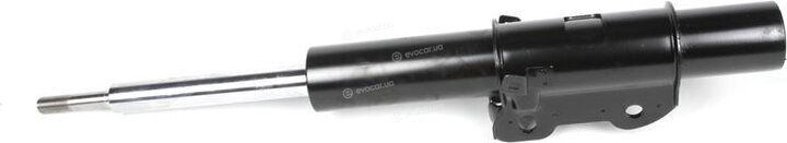 Solgy 211025