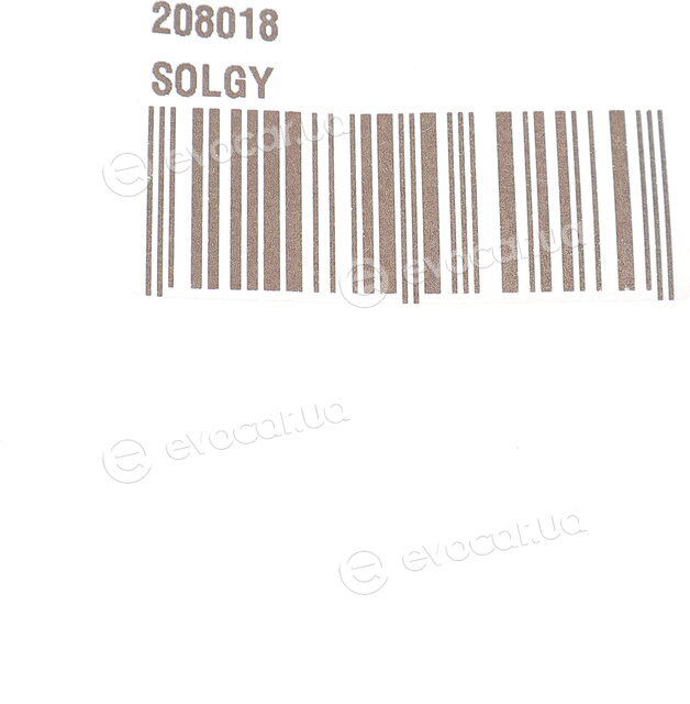 Solgy 208018