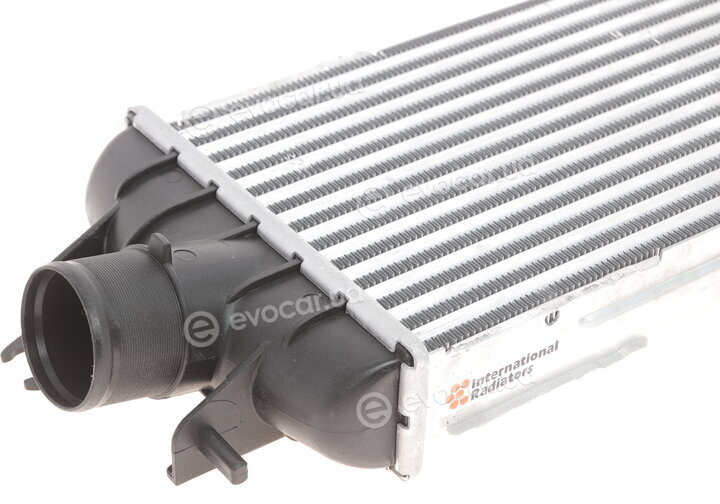 Van Wezel 43004358