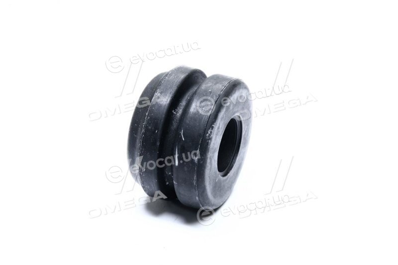RBI T2365Y