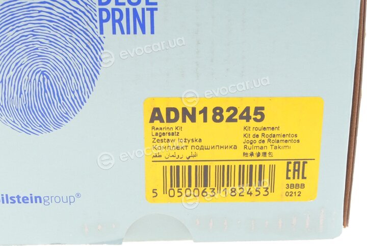 Blue Print ADN18245