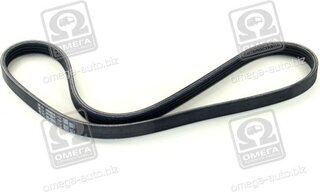 SKF VKMV 4PK855