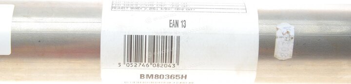 BM Catalysts BM80365H