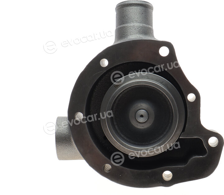 Hepu P1464