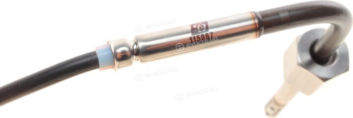 Solgy 115067